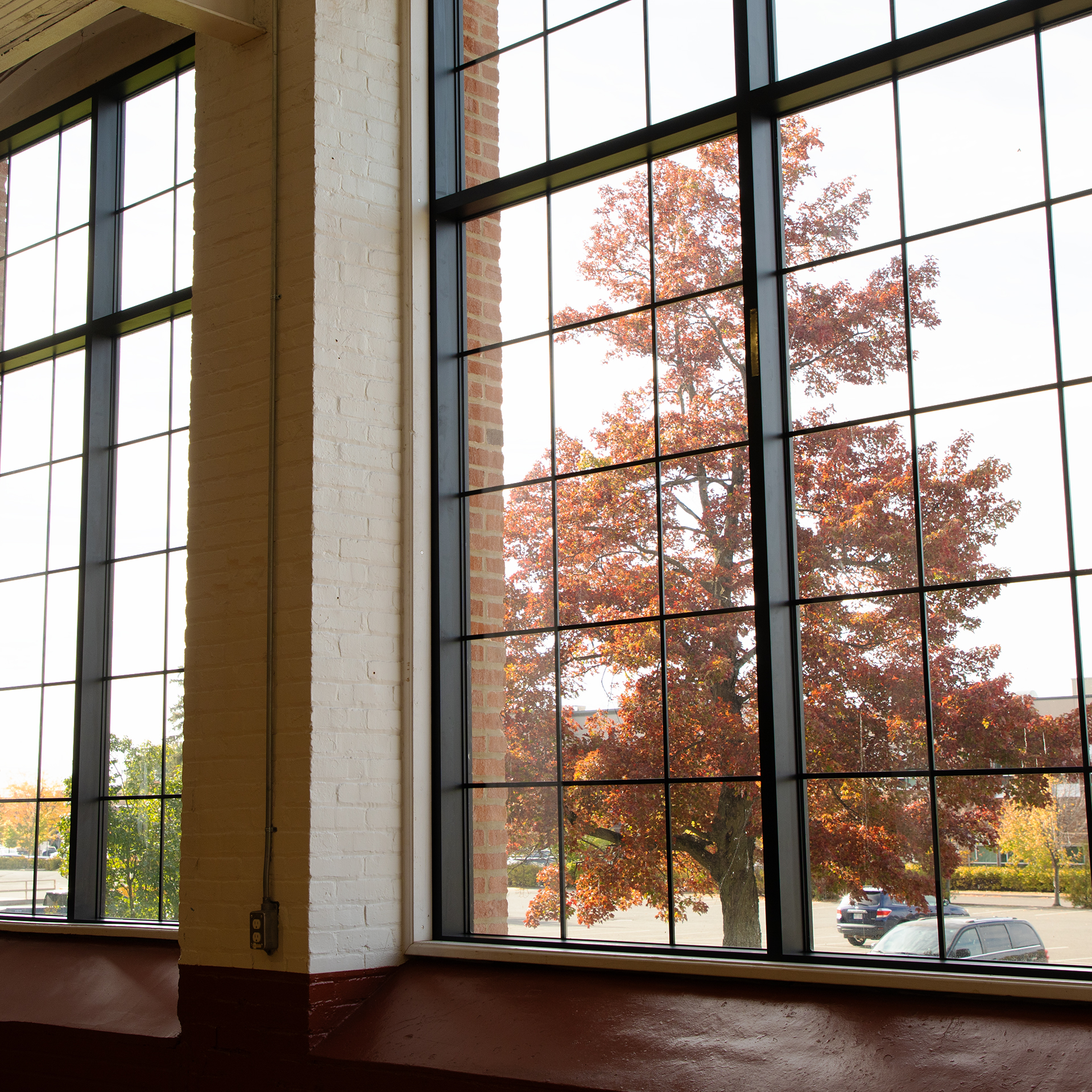 Building with Autumn Trees