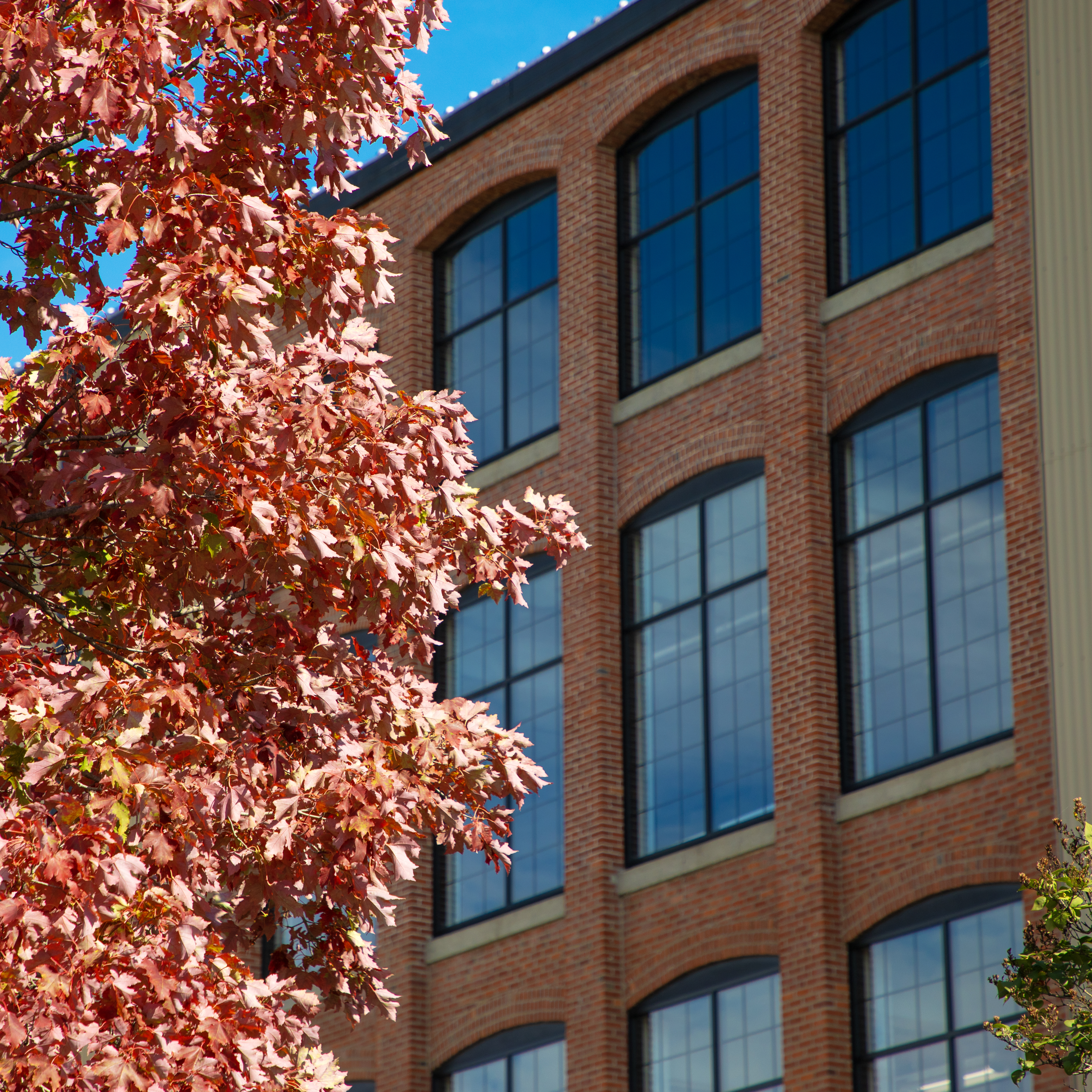 Event Setup with Red Theme